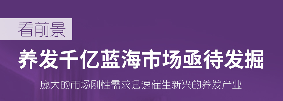 百莲凯科技美容养发连锁加盟